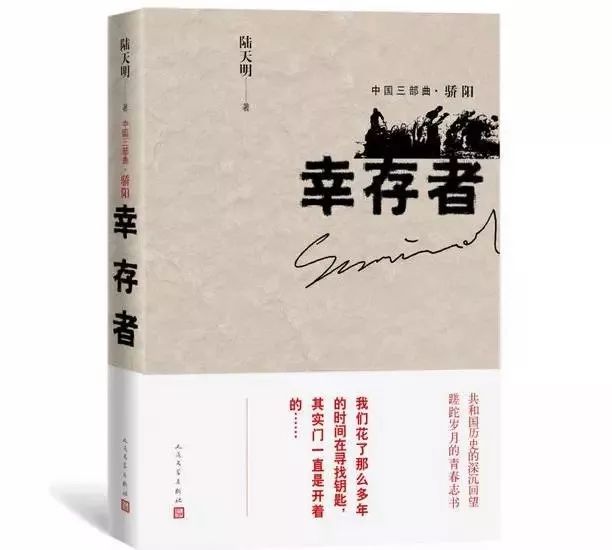 丁長林章亮雨最新章節(jié)閱讀，探尋故事的深度與魅力