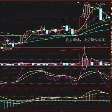 最新牛散持股一覽表，揭示市場主力動向