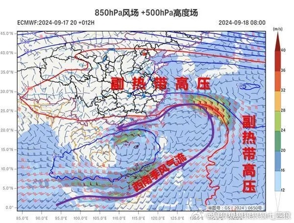 十六號(hào)臺(tái)風(fēng)最新消息，全方位解析與應(yīng)對(duì)策略