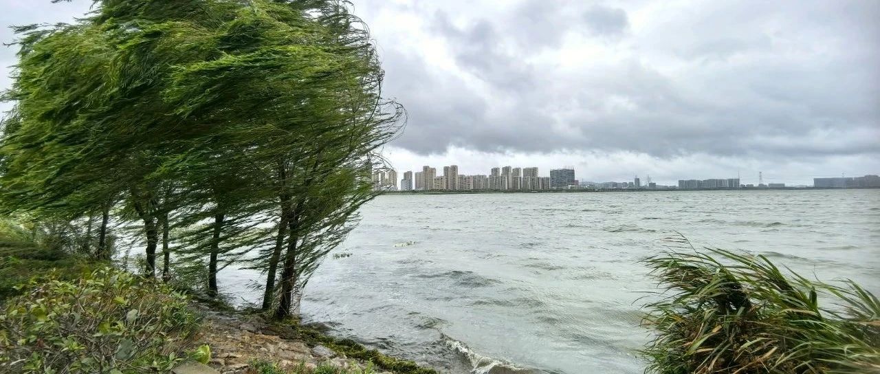 蘇州今天臺風最新消息，風雨中的城市動態(tài)與應對措施